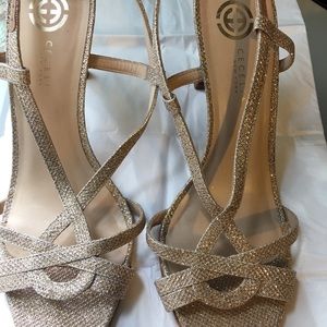 Cecelia New York normal used